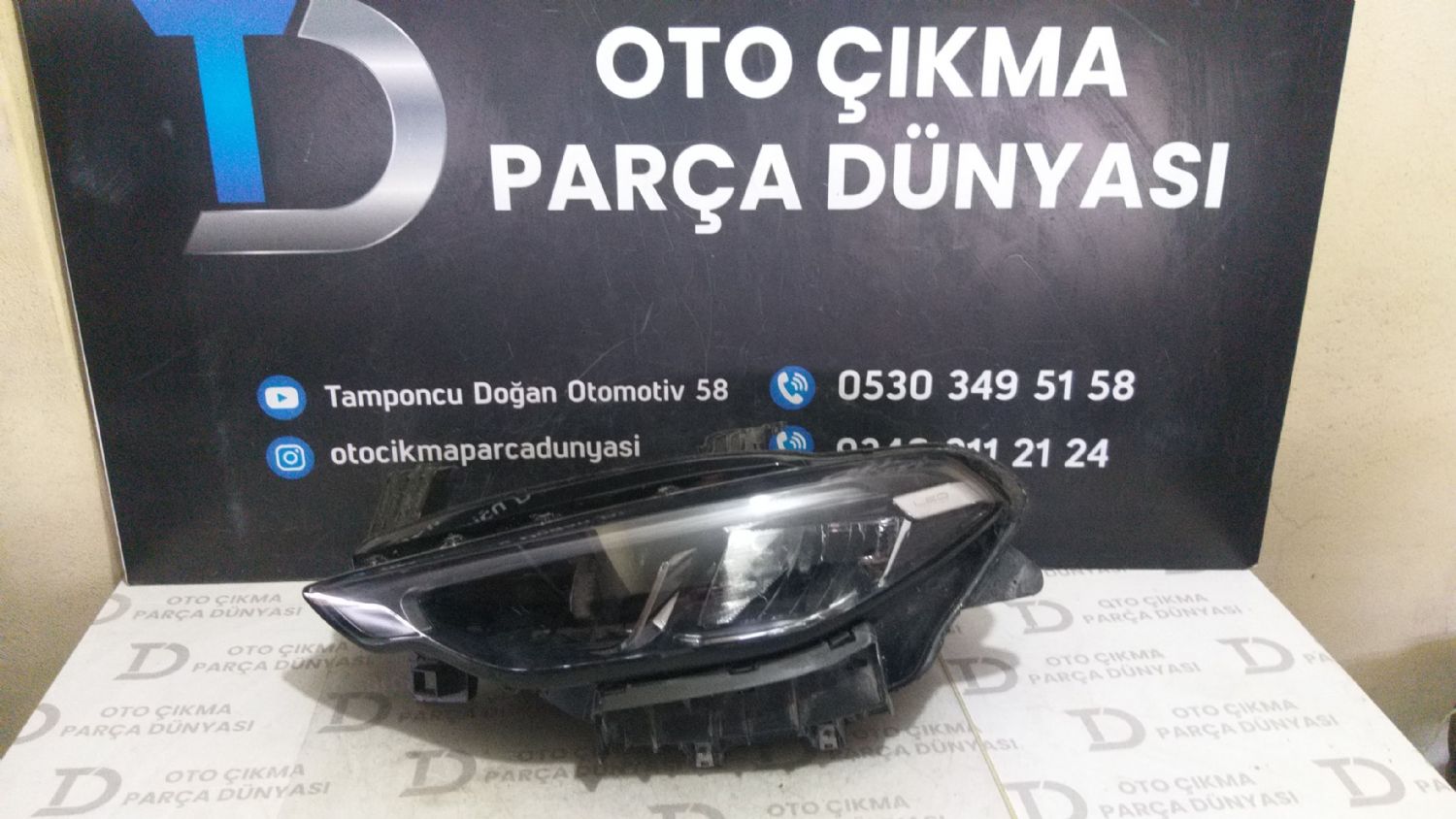 FAT EGEA SOL FAR 21-24 LEDL