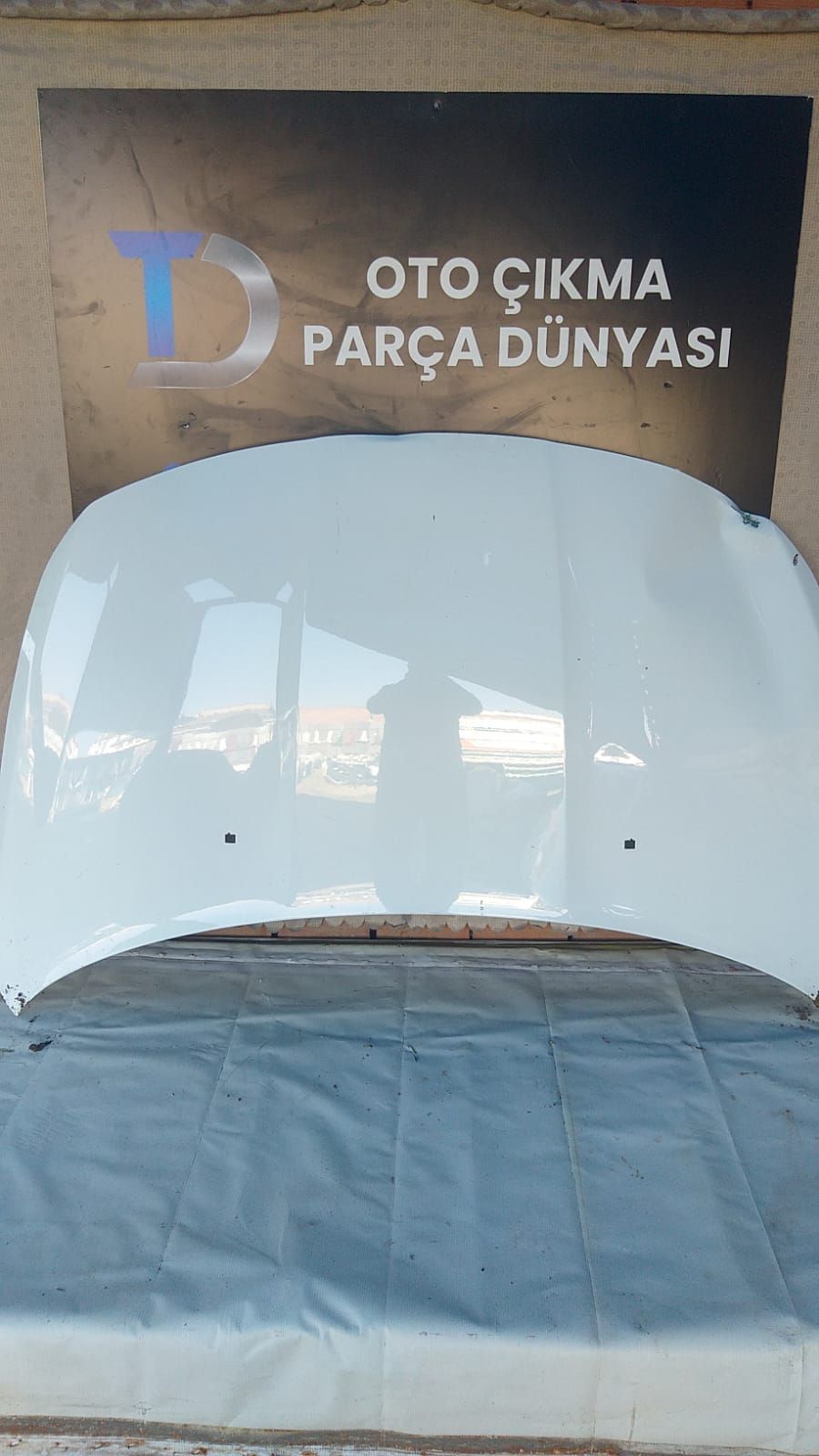 FAT EGEA N KAPUT 16-18