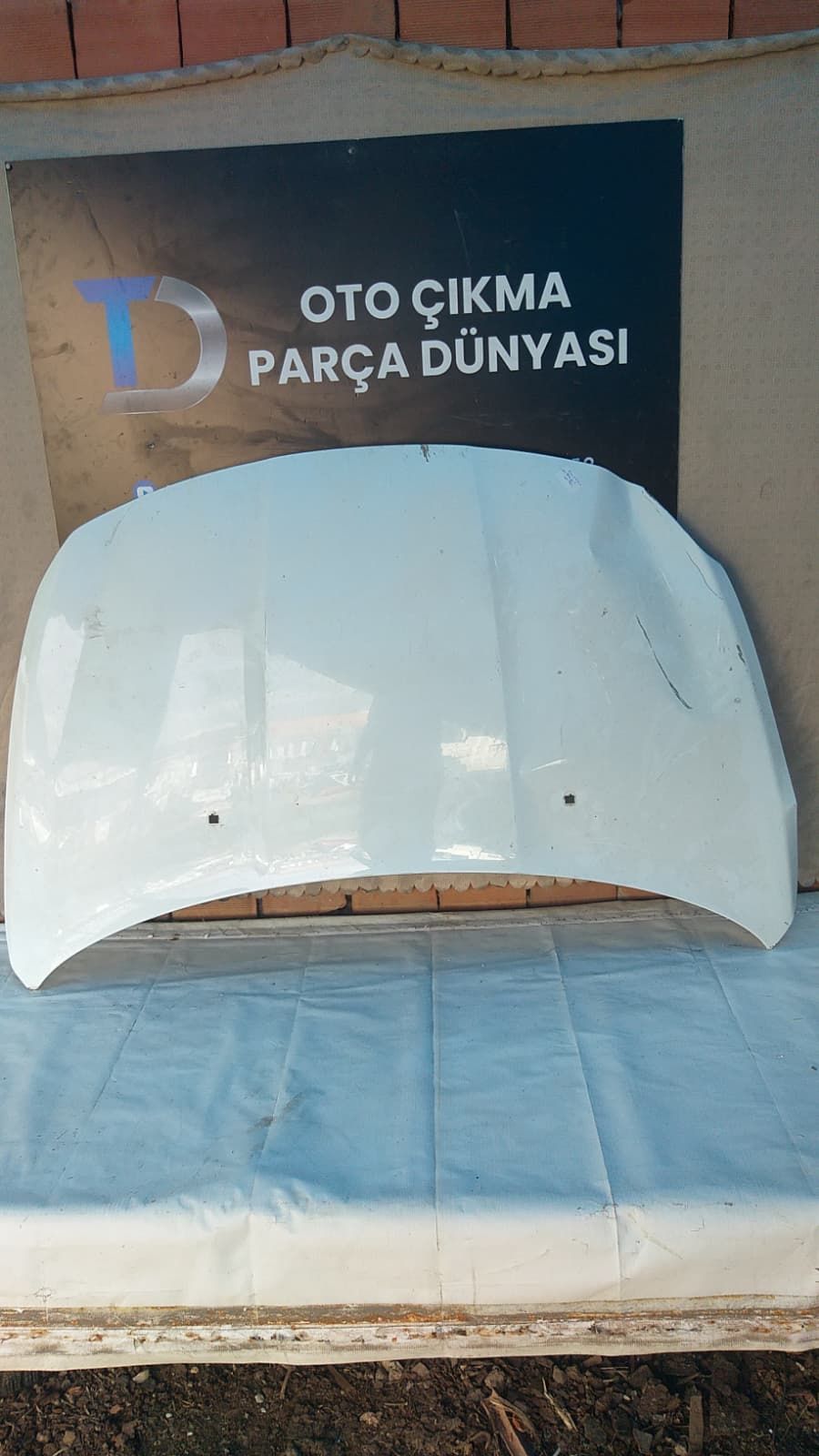 FAT EGEA N KAPUT 20-24