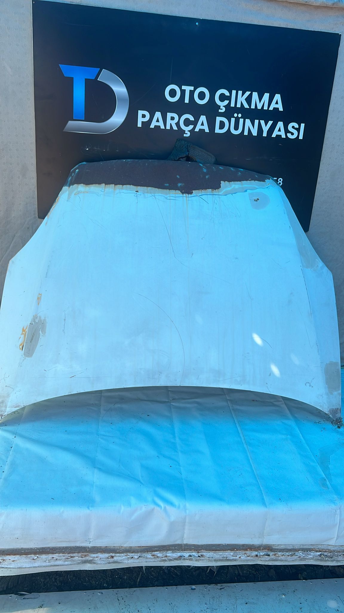 FAT LNEA N KAPUT 06-17