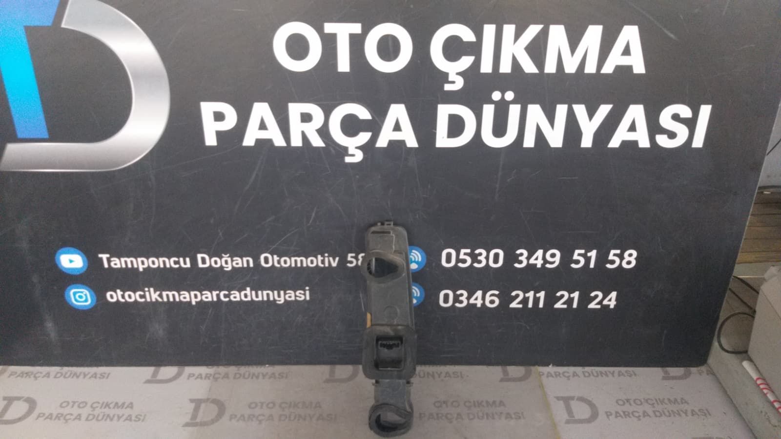 DACA LOGAN SOL STOP DY 08-12