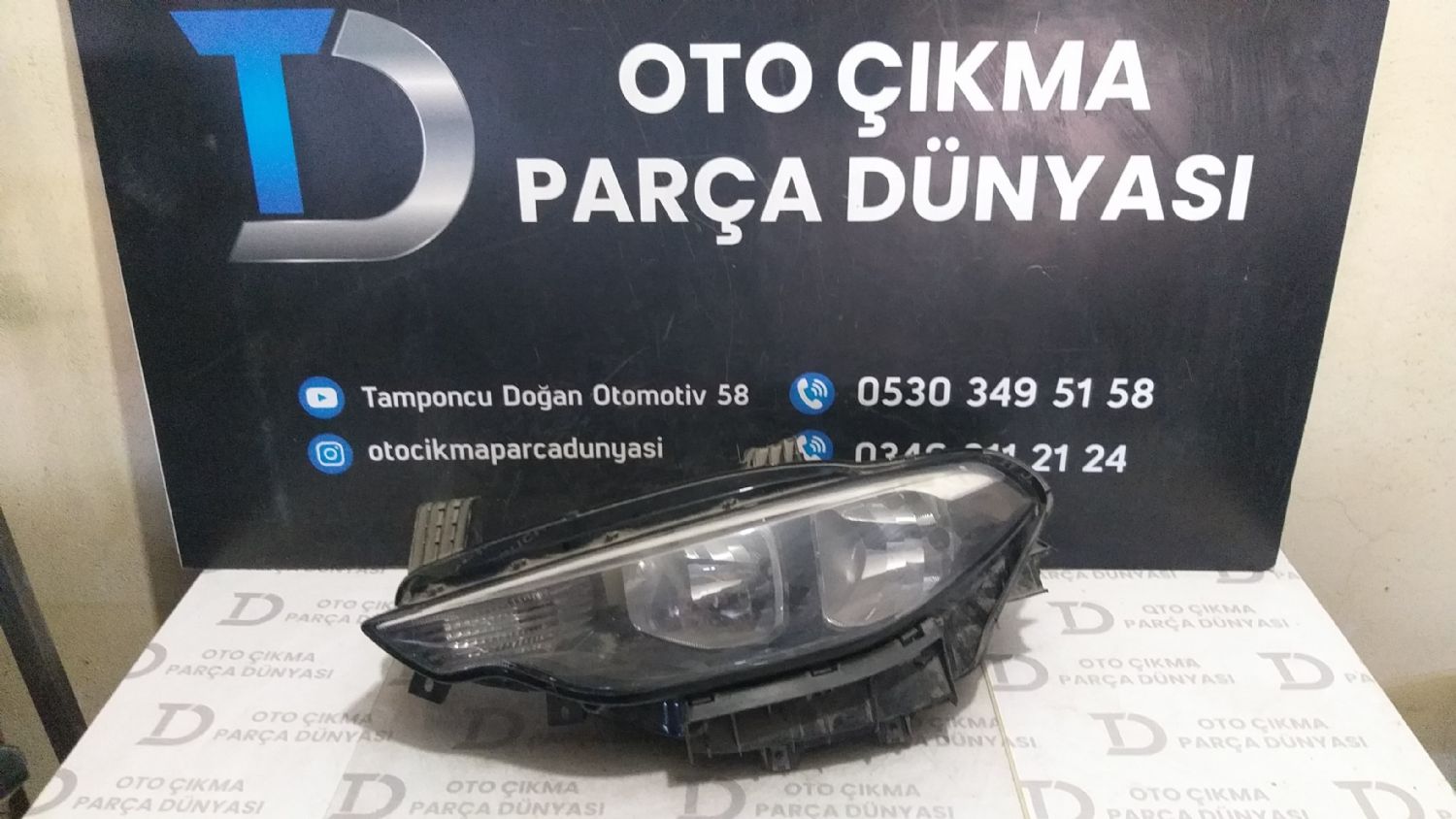 FAT EGEA SOL FAR  15-20