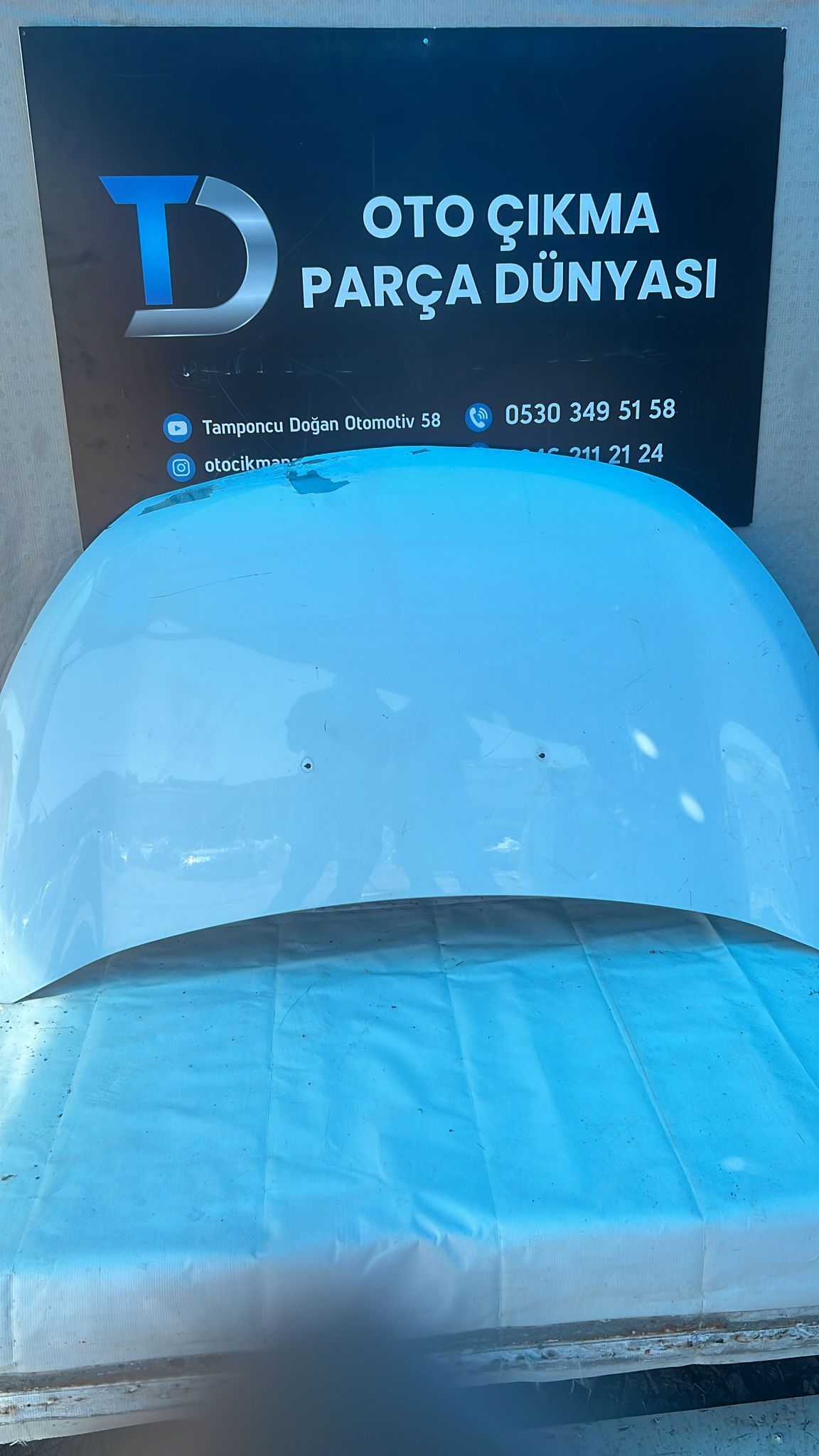 DACA DOKKER N KAPUT 12-16